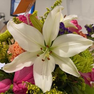 Meet your Posher, Rosario